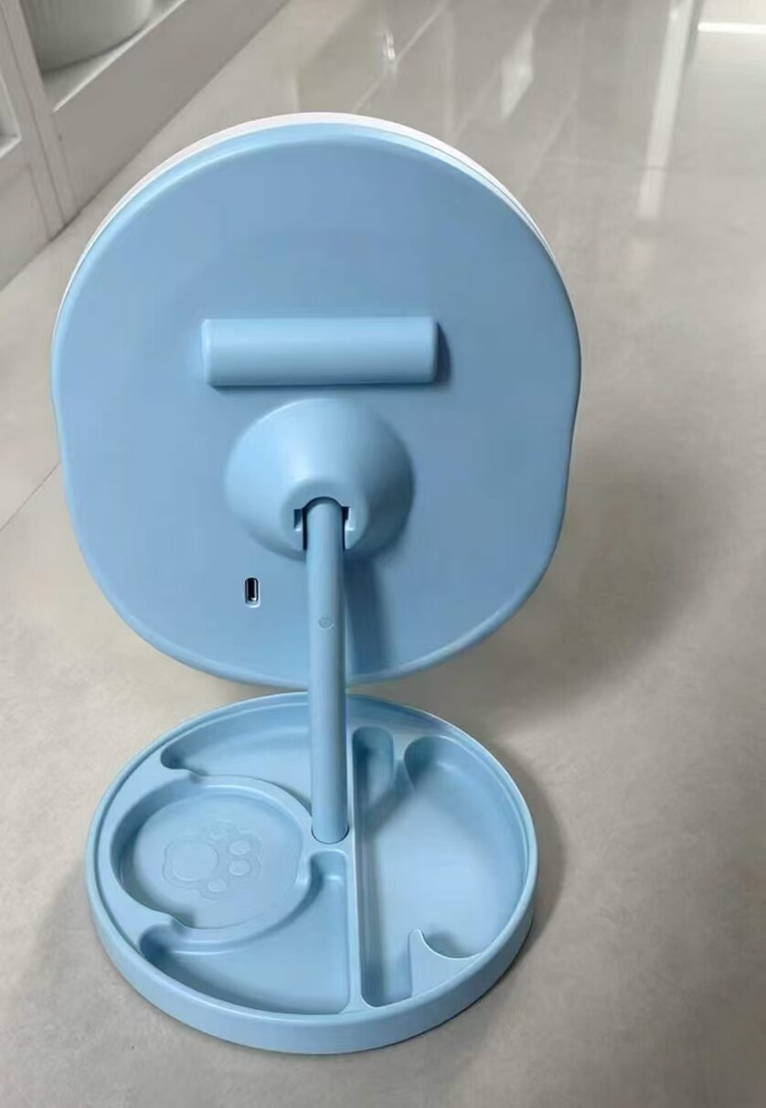 Sea Salt Blue Cute Paw Storage Mirror 5