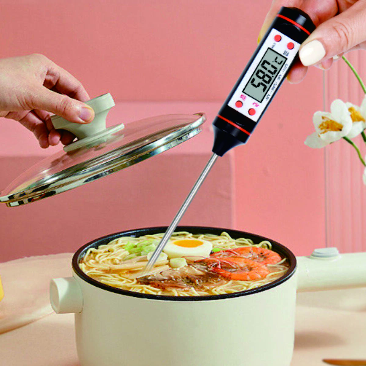 Food Thermometer 3
