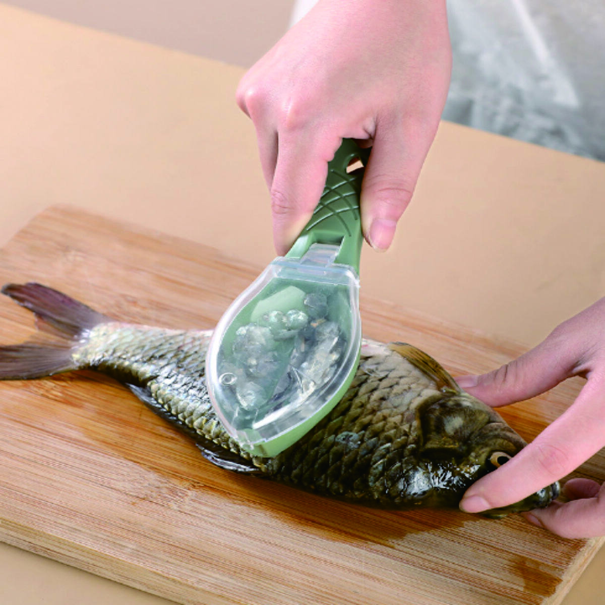 Fish Scale Remover with Lid 4