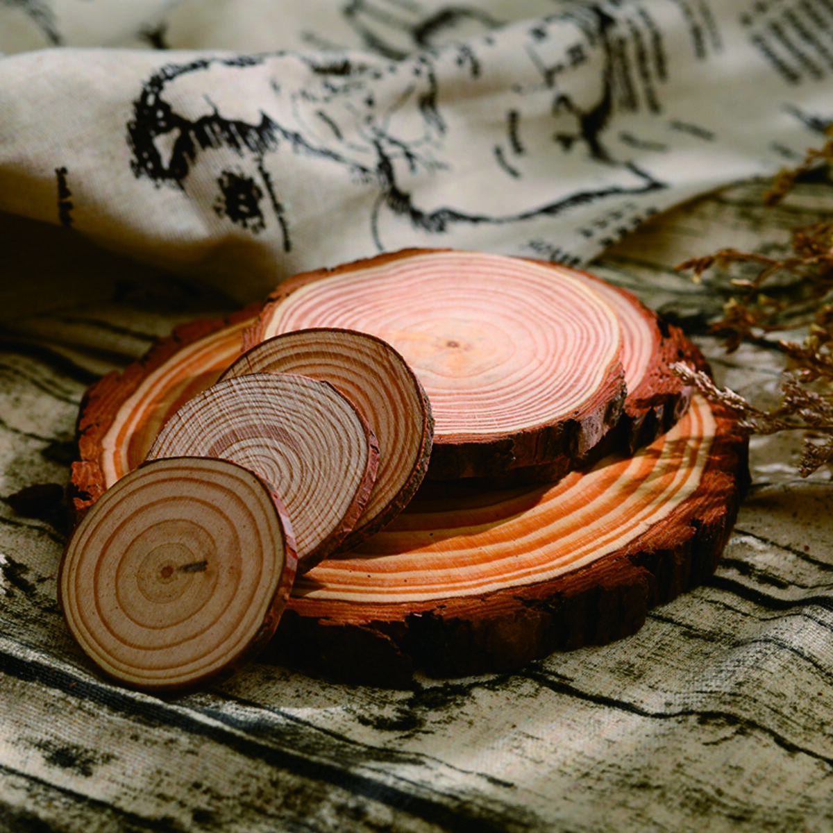 Round Wood Slices with Growth Rings, Handmade Decorative Wooden Blocks for Crafts 5