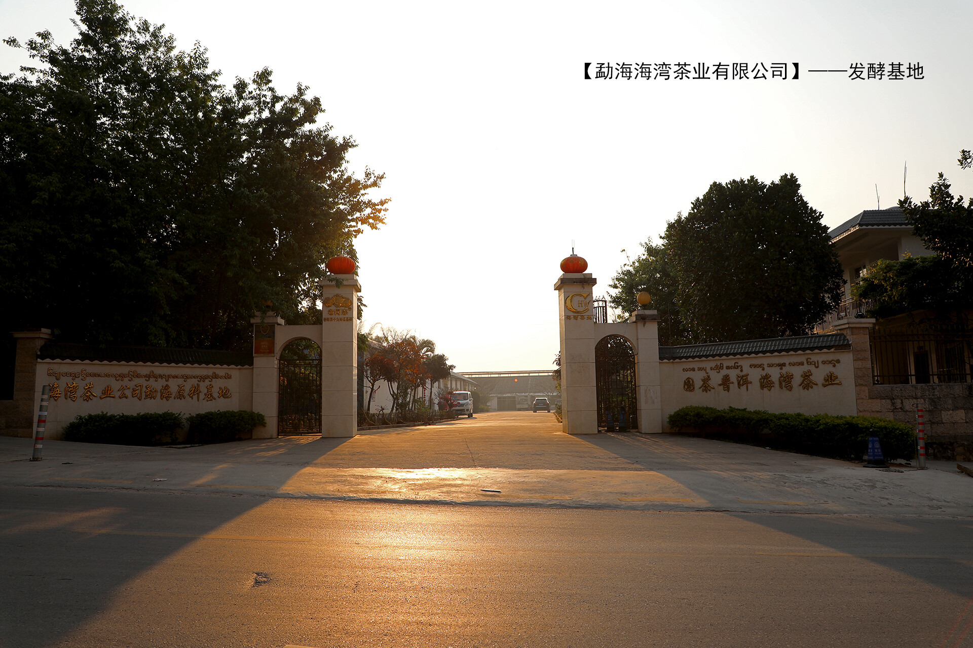 Menghai Tea Garden