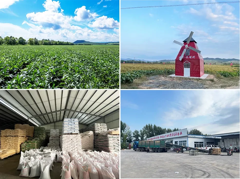 Organic Grain Farms