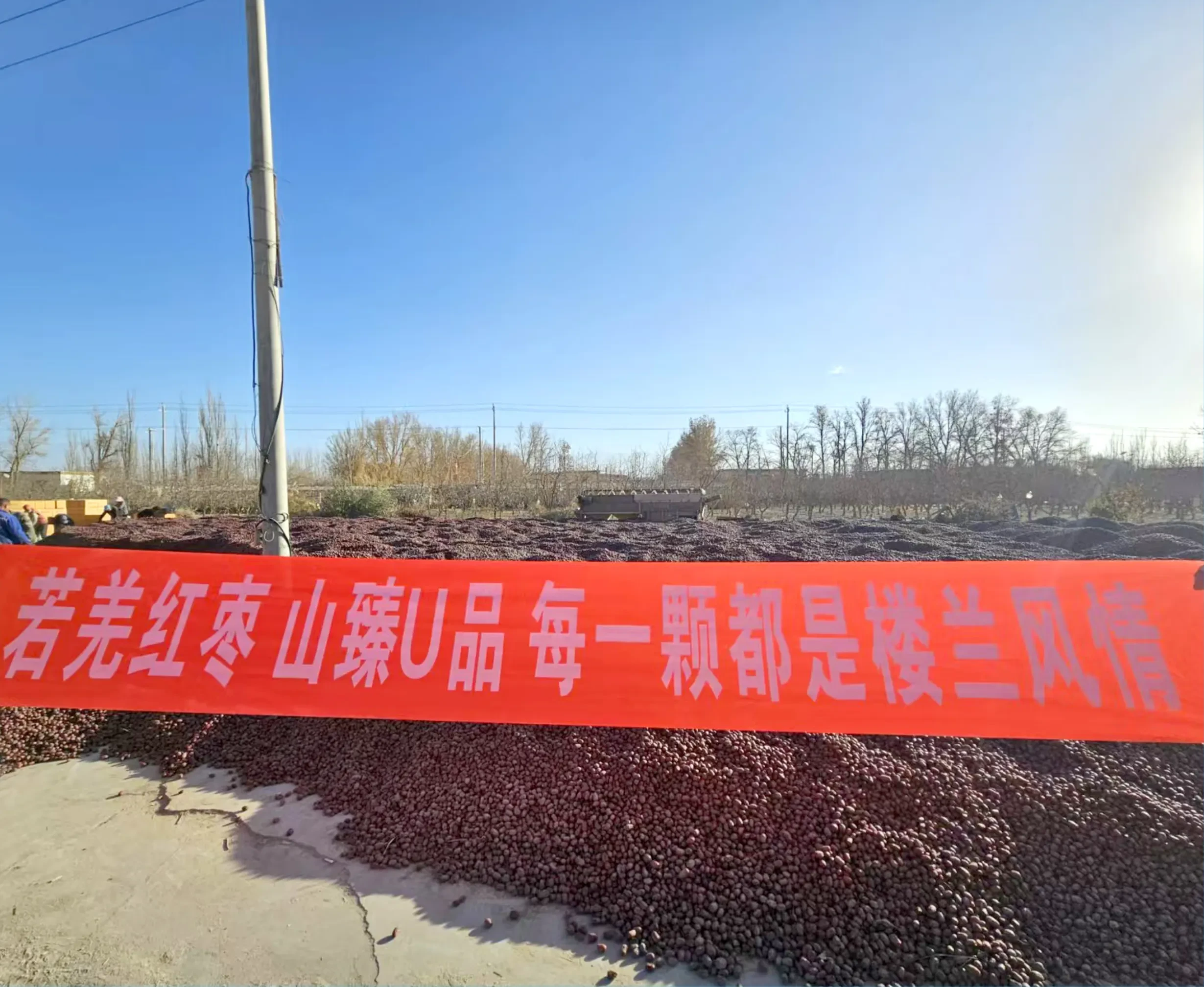 Outdoor banner with Chinese text