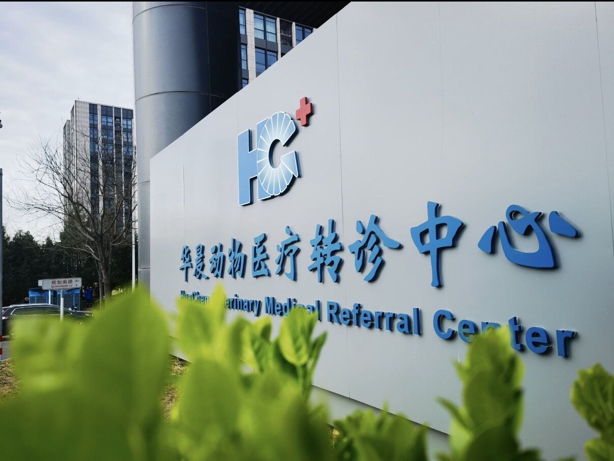 医院诊疗环境