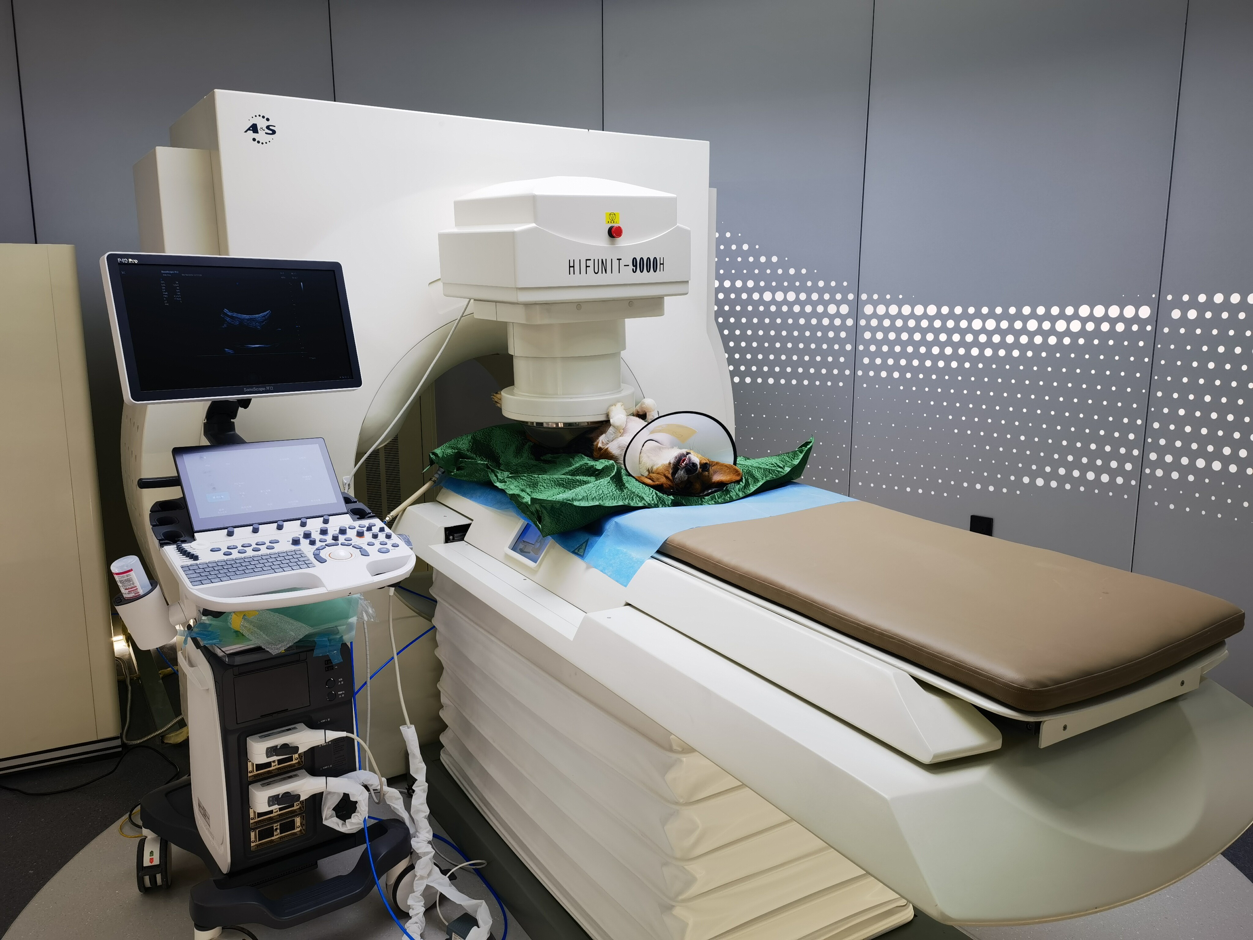 Huachen Animal Medical HIFU Treatment Equipment