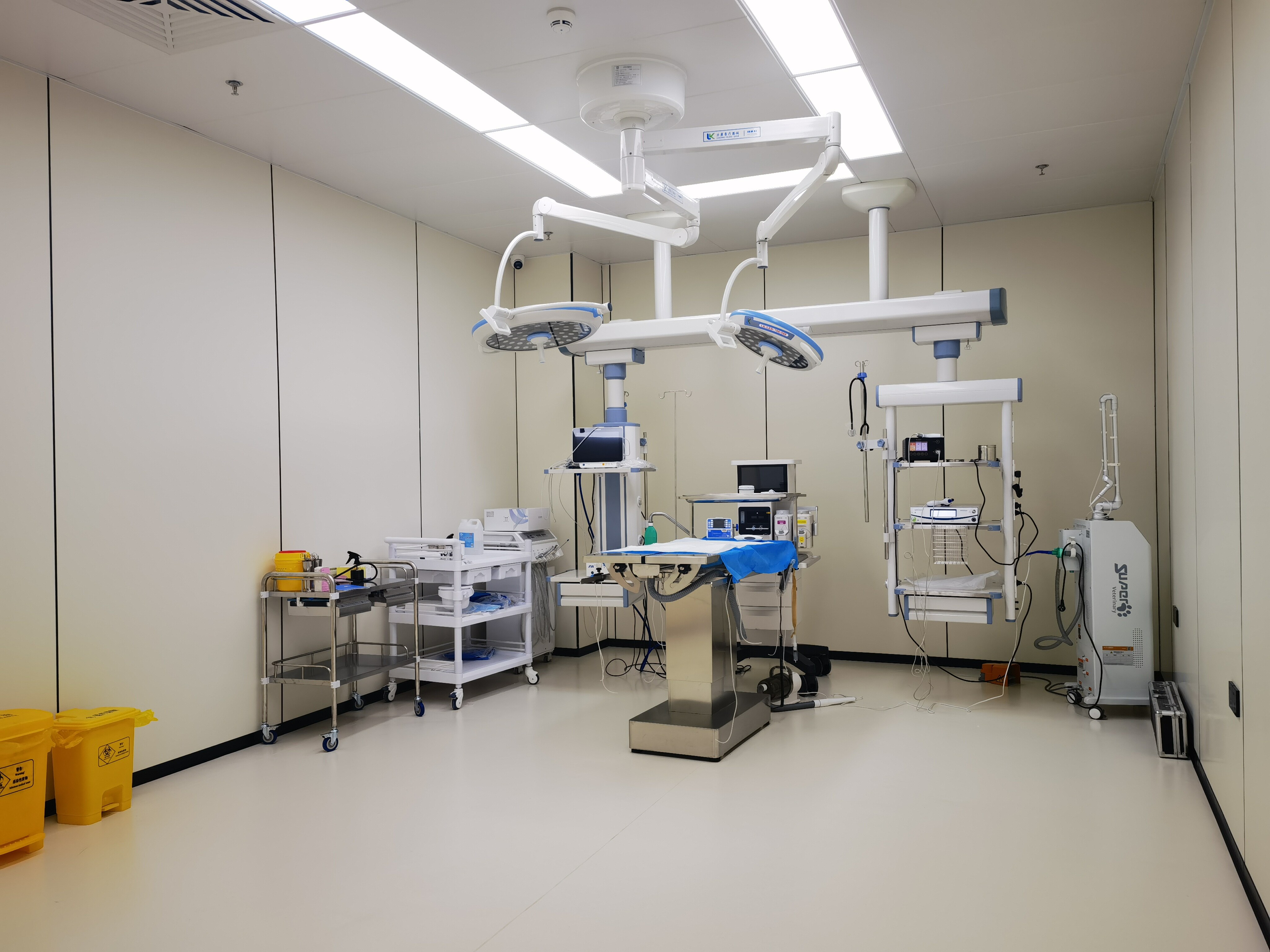 Huachen Animal Medical CO2 Laser Surgical Equipment