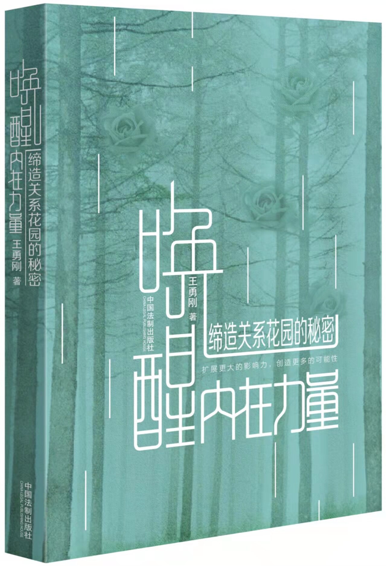 《唤醒内在力量:缔造关系花园的秘密》一本真正能帮你“修关系”的心理学书籍:不是话术,是觉察