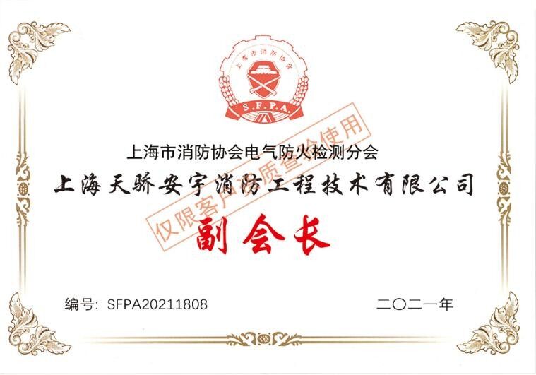 上海市电气防火检测分会副会长单位