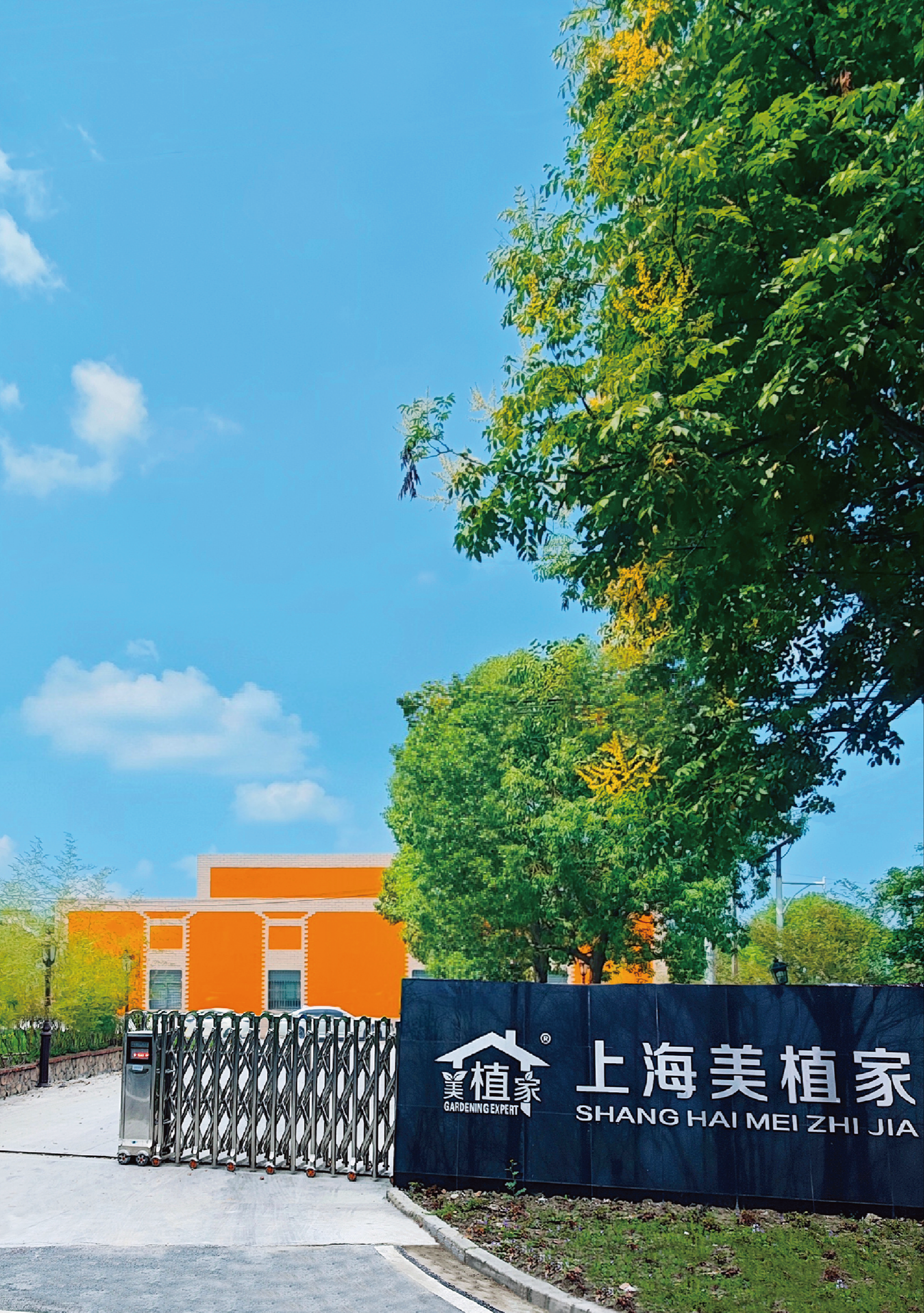 专业园艺服务