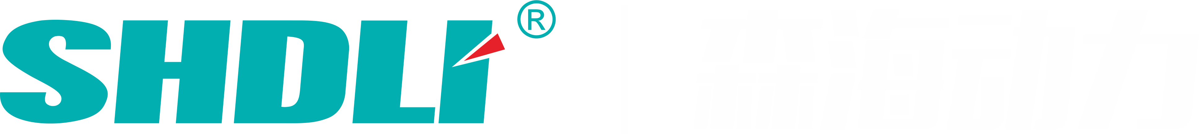 SHDLI 森海动力 Logo