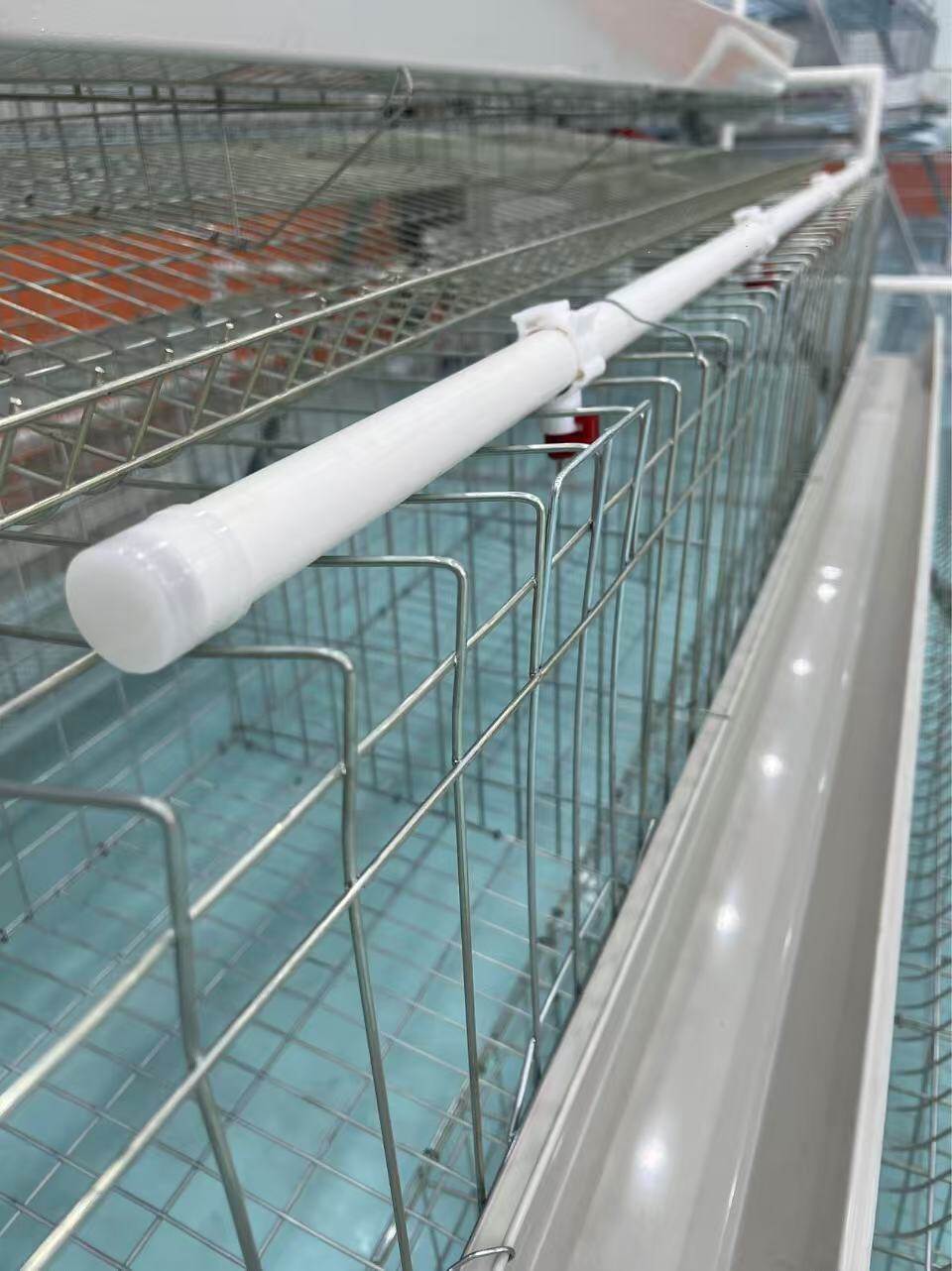 A-Type Chicken Layer Cage view 1