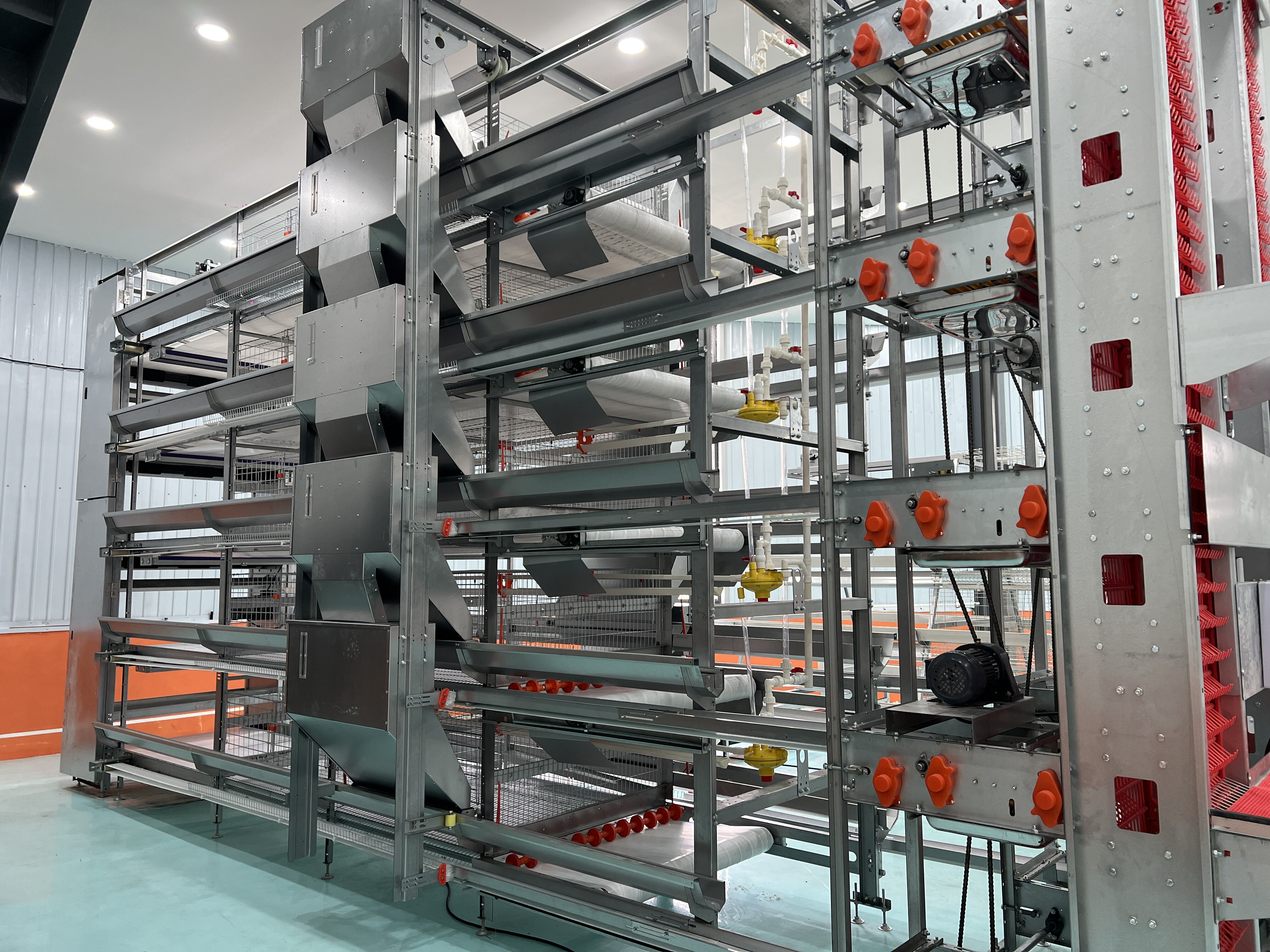 H Type Automatic Chicken Layer Cage view 1