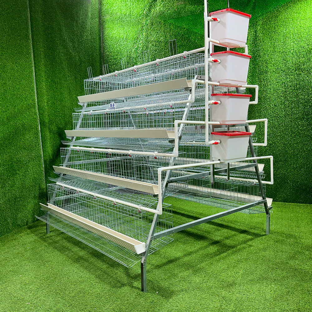 A-Type Chicken Layer Cage