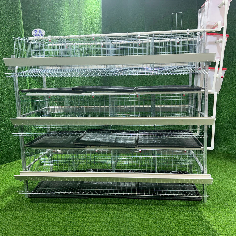 H-Type Layer Chicken Cage view 2