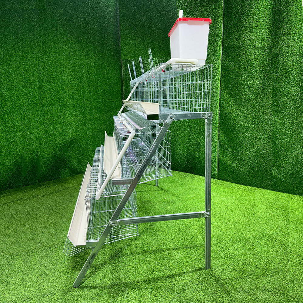 D-Type Chicken Layer Cage view 1