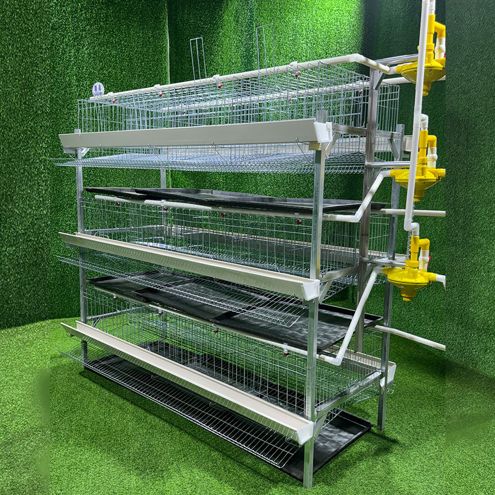 H-Type Layer Chicken Cage