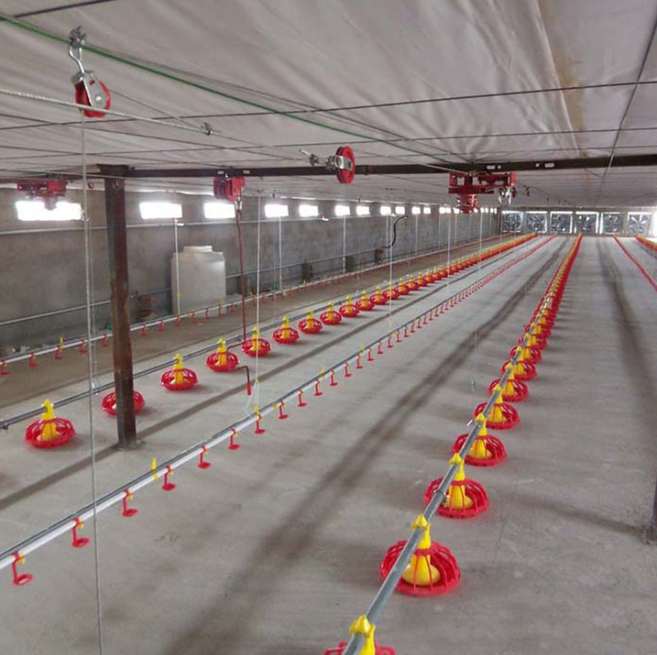 Chicken Feeding Pan System for Broilers