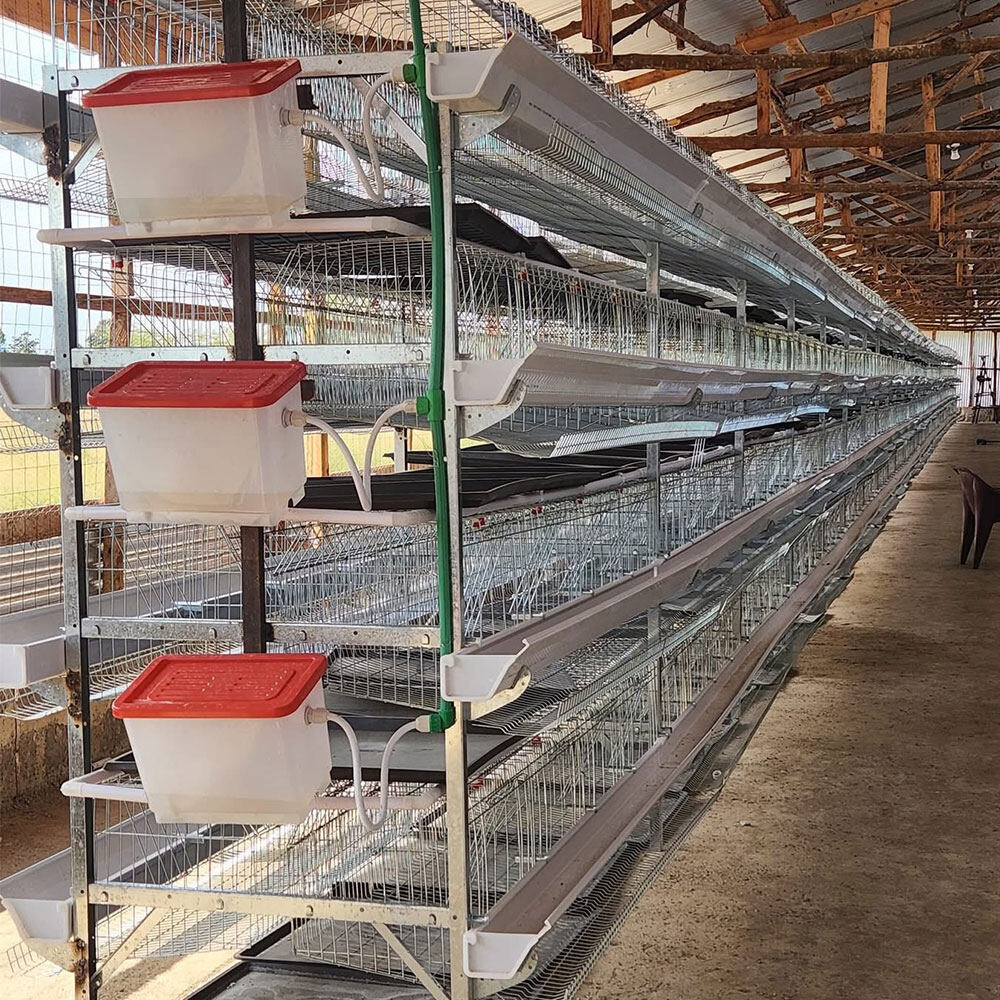 H-Type Layer Chicken Cage view 3