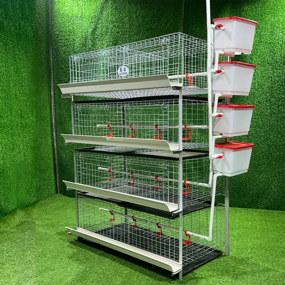 Broiler Chicken Cage