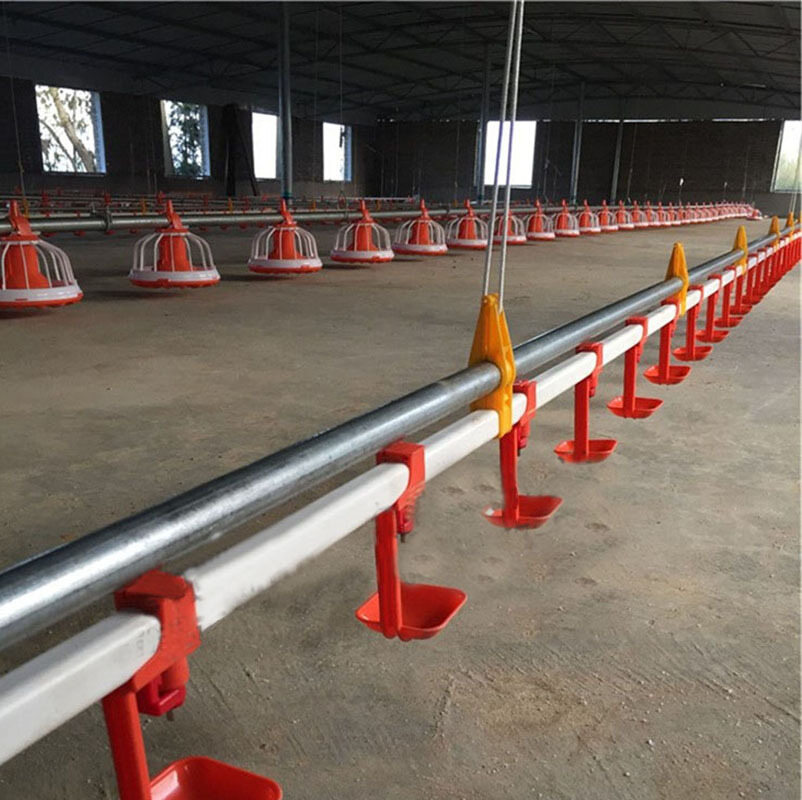 Chicken Feeding Pan System for Broilers view 3