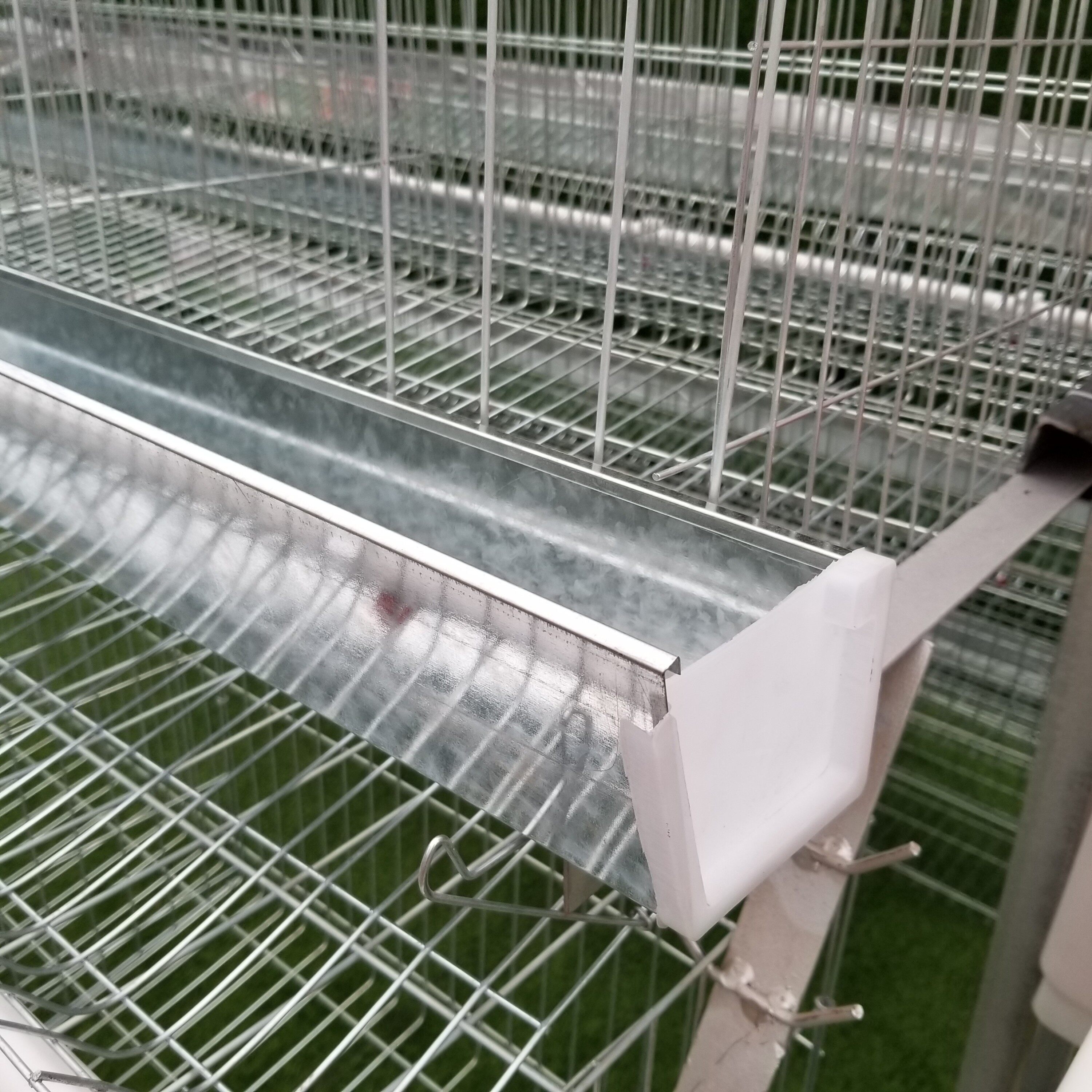 D-Type Chicken Layer Cage view 2
