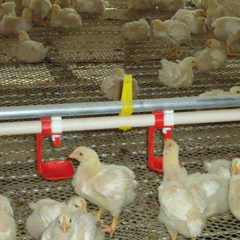Chicken Feeding Pan System for Broilers view 2