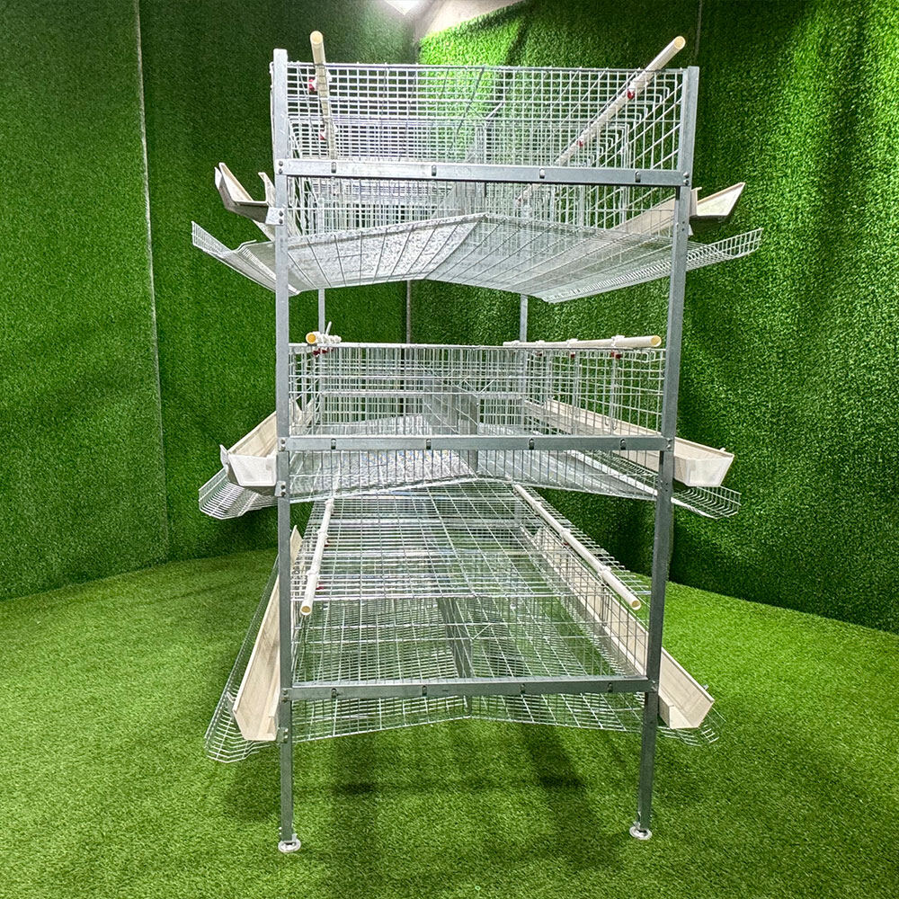 H-Type Layer Chicken Cage view 1