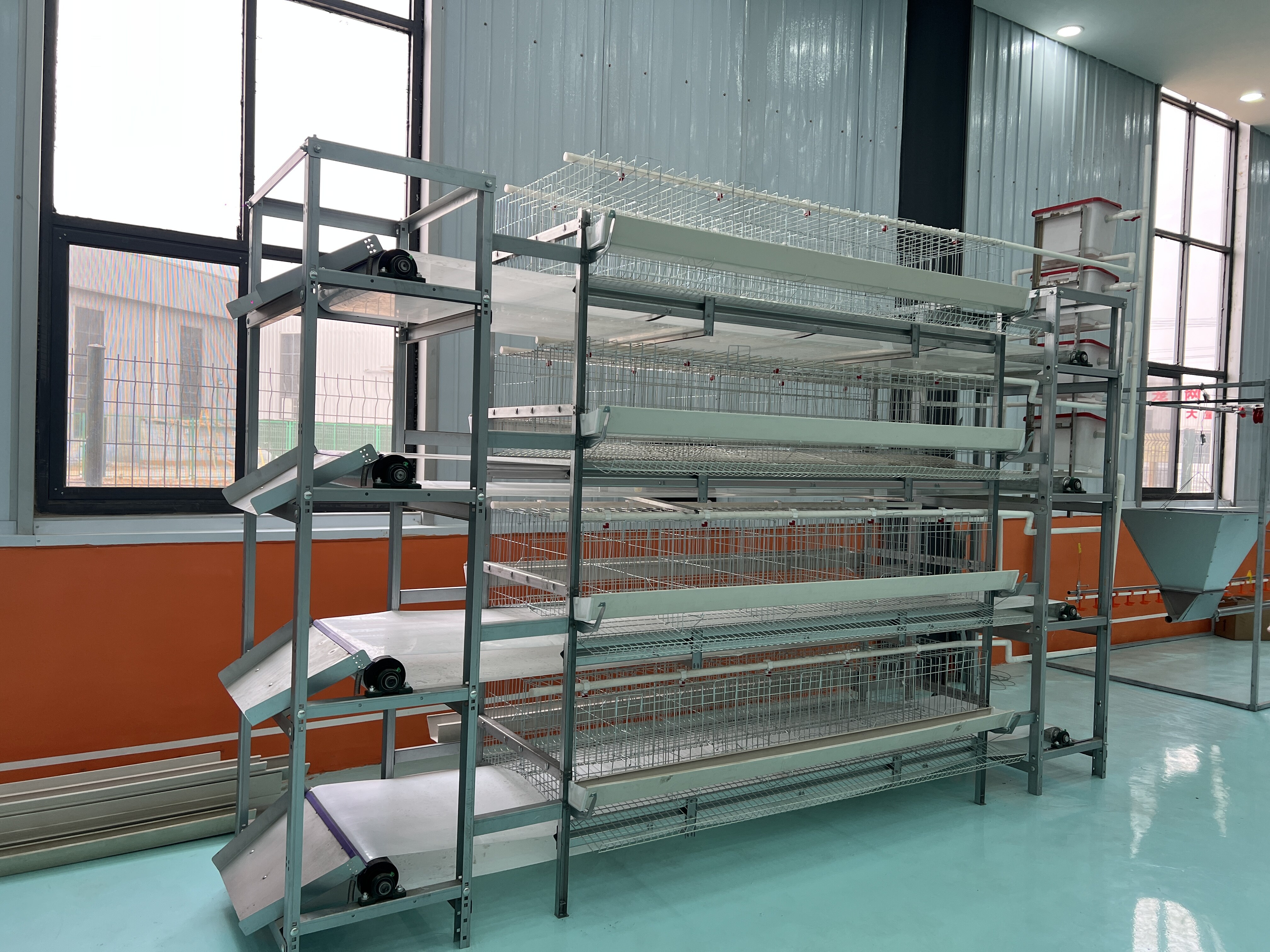 H Type Manual Manure Removal Chicken Layer Cage