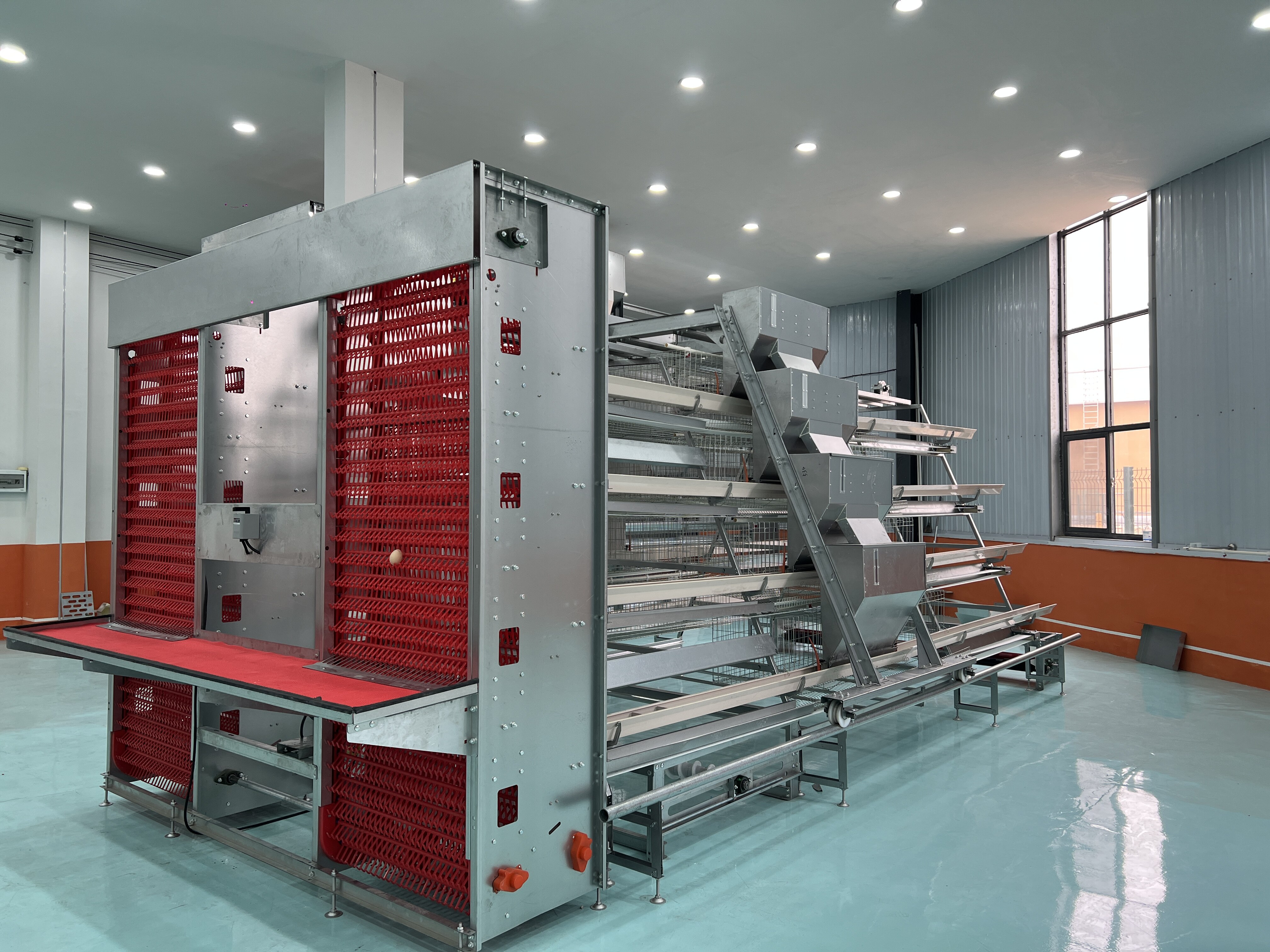 A Type Automatic Chicken Layer Cage