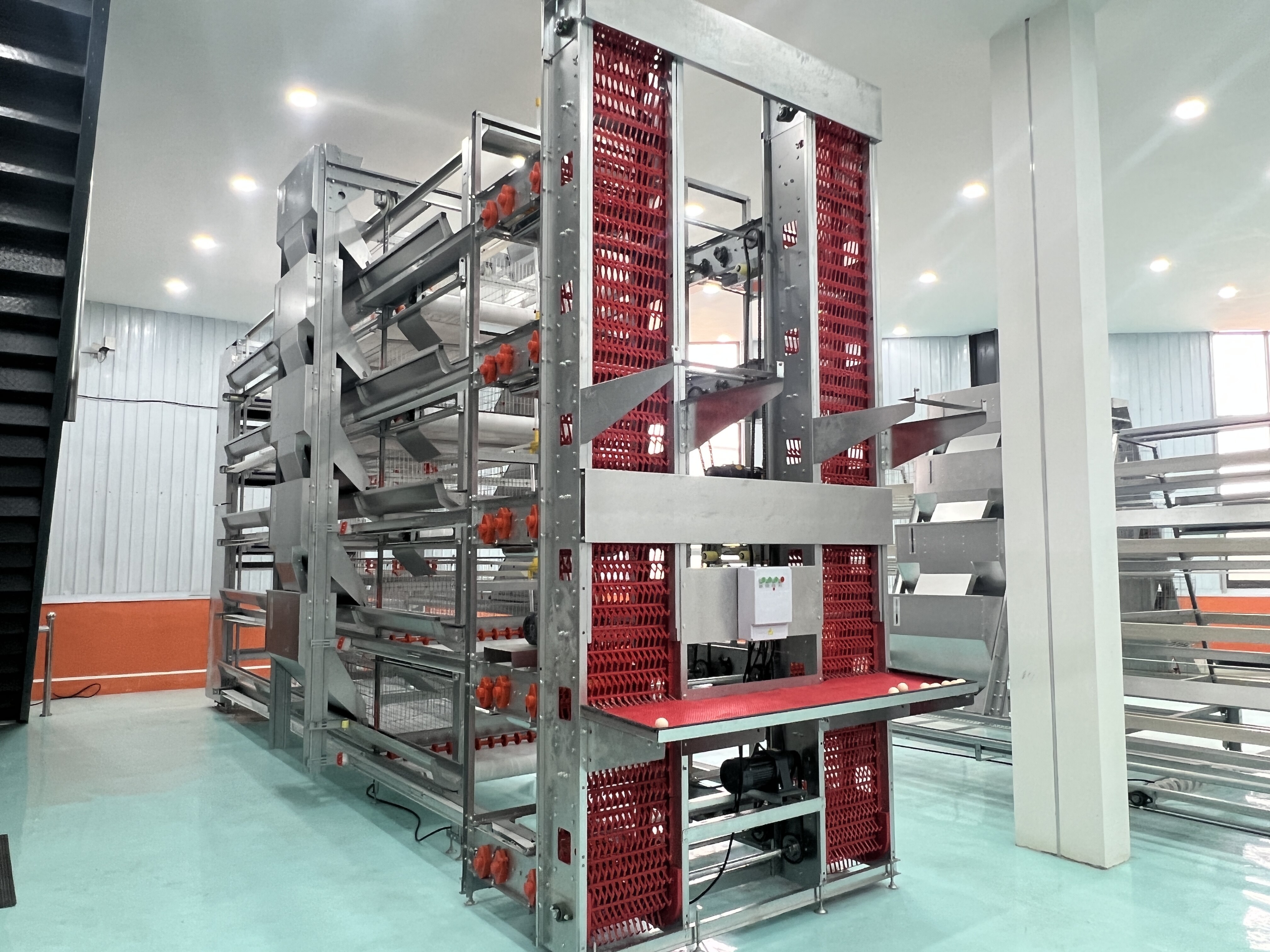 H Type Automatic Chicken Layer Cage