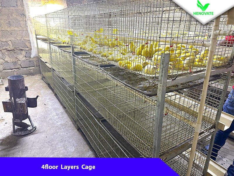 Brooder Chicken Cage view 3