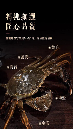 【沱湖螃蟹】五河大闸蟹顾氏水产秋季送礼 现货全母活蟹 顺丰冷链高端礼盒8-10只装 公蟹:5.0两-7.0两 母蟹:4.0两-6.0两 参考价588元
