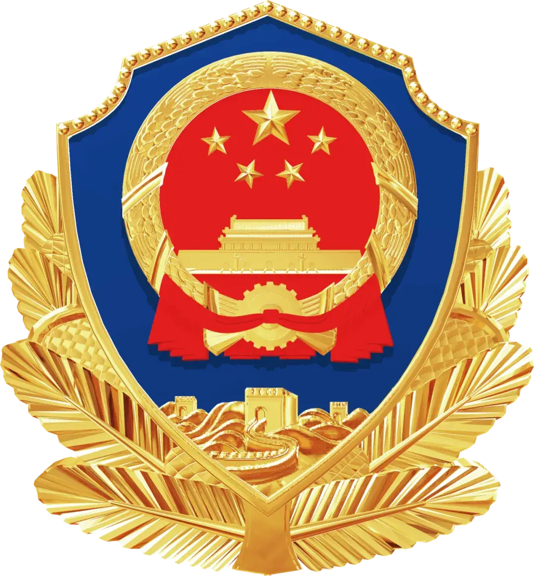 Public Security Bureau Filing Icon