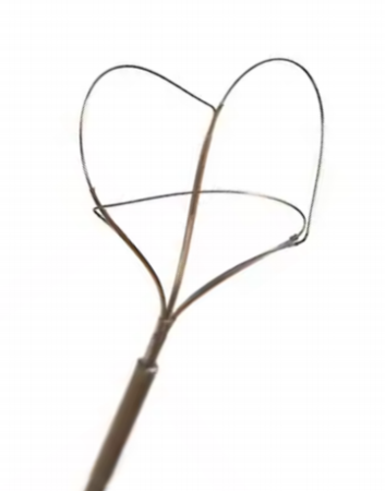 Veterinary Stone Retrieval Basket thumbnail 4 | WZAE veterinary medical device