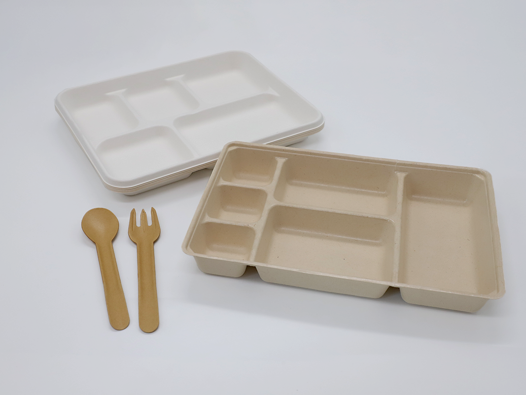 Bamboo Pulp Container