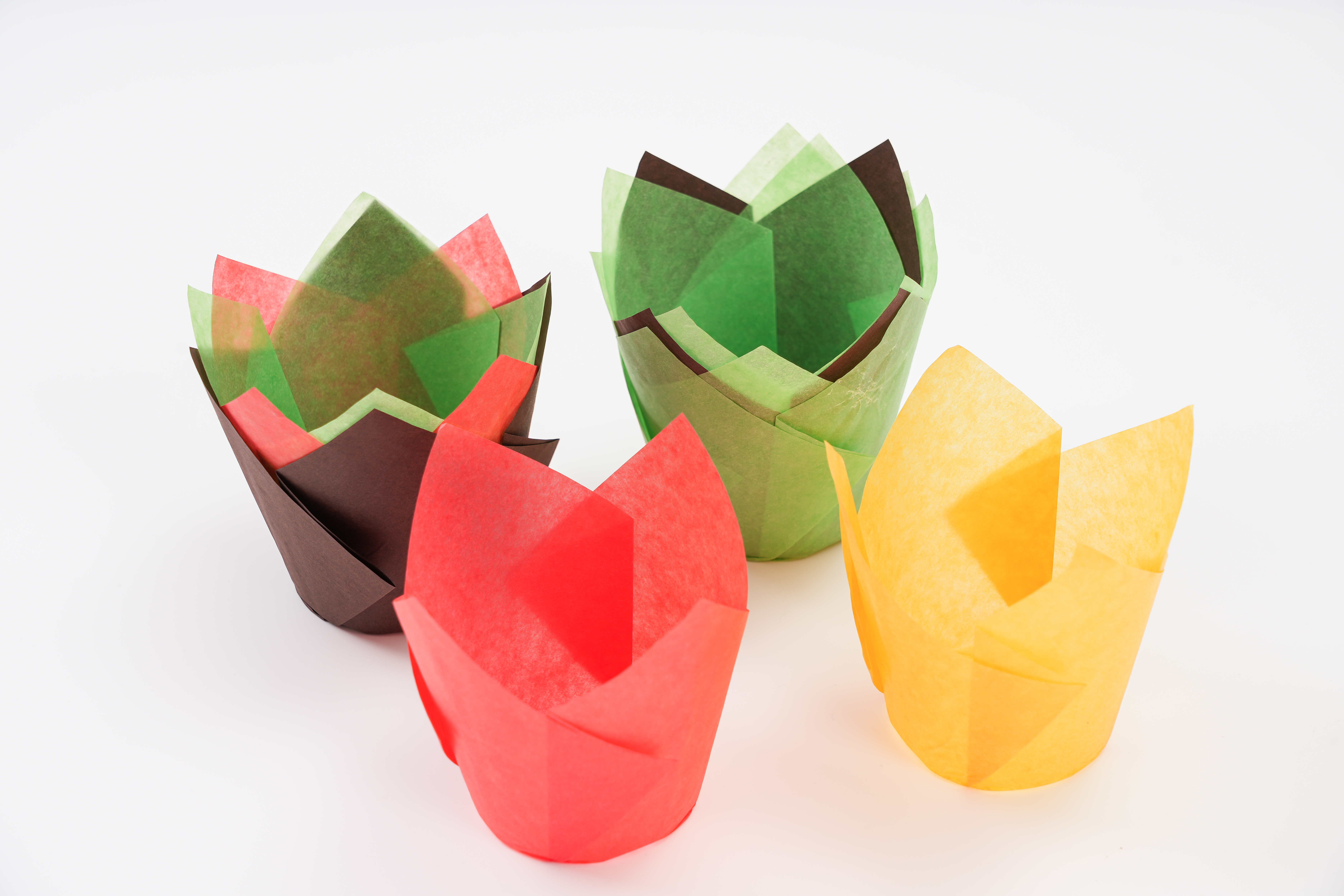 Cake Cup - 7