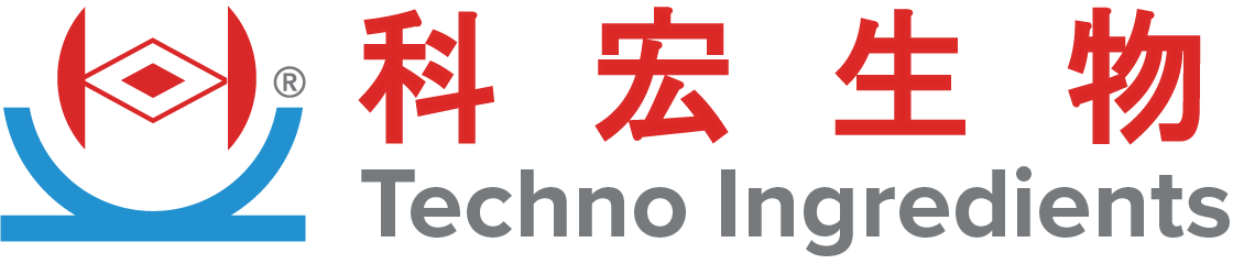 Techno
