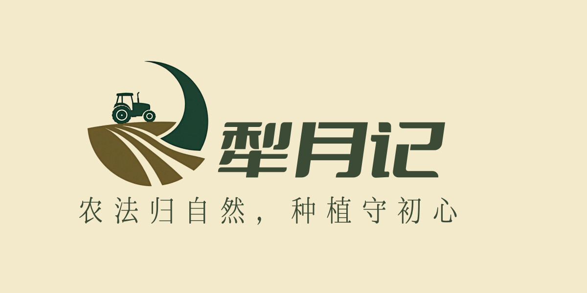 农场基地