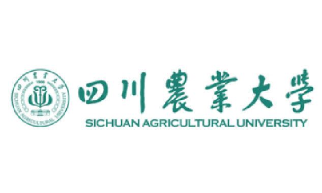浙江大学