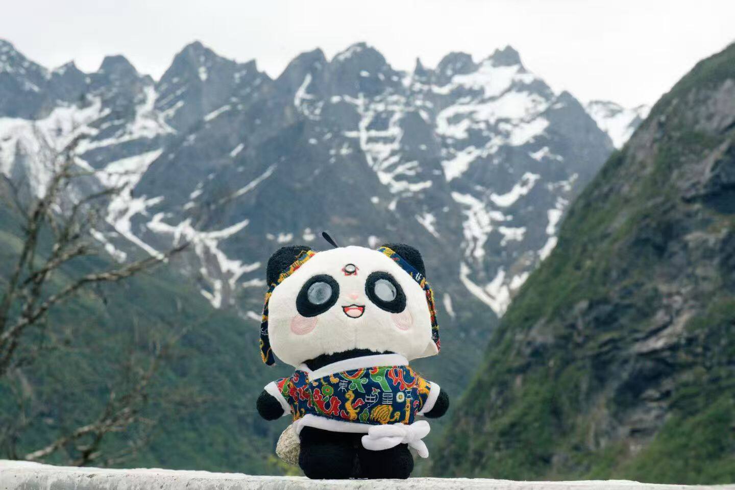 Shu Brocade Panda – Jinbao 6