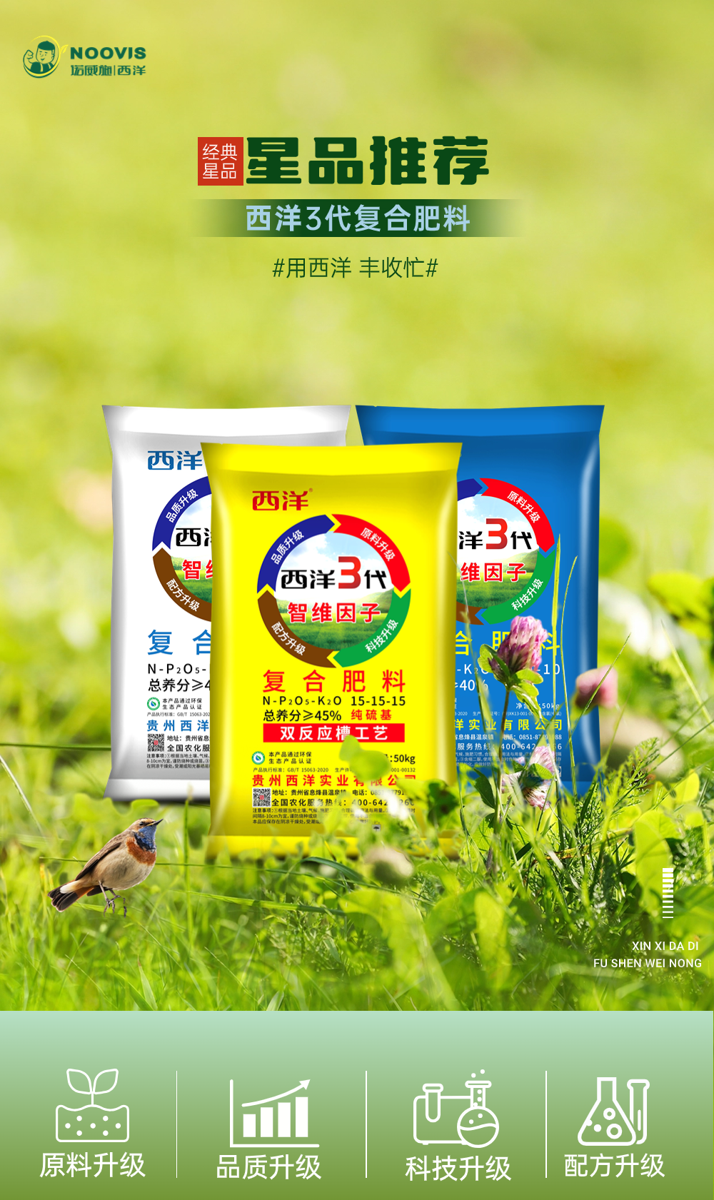 国农高效叶面肥