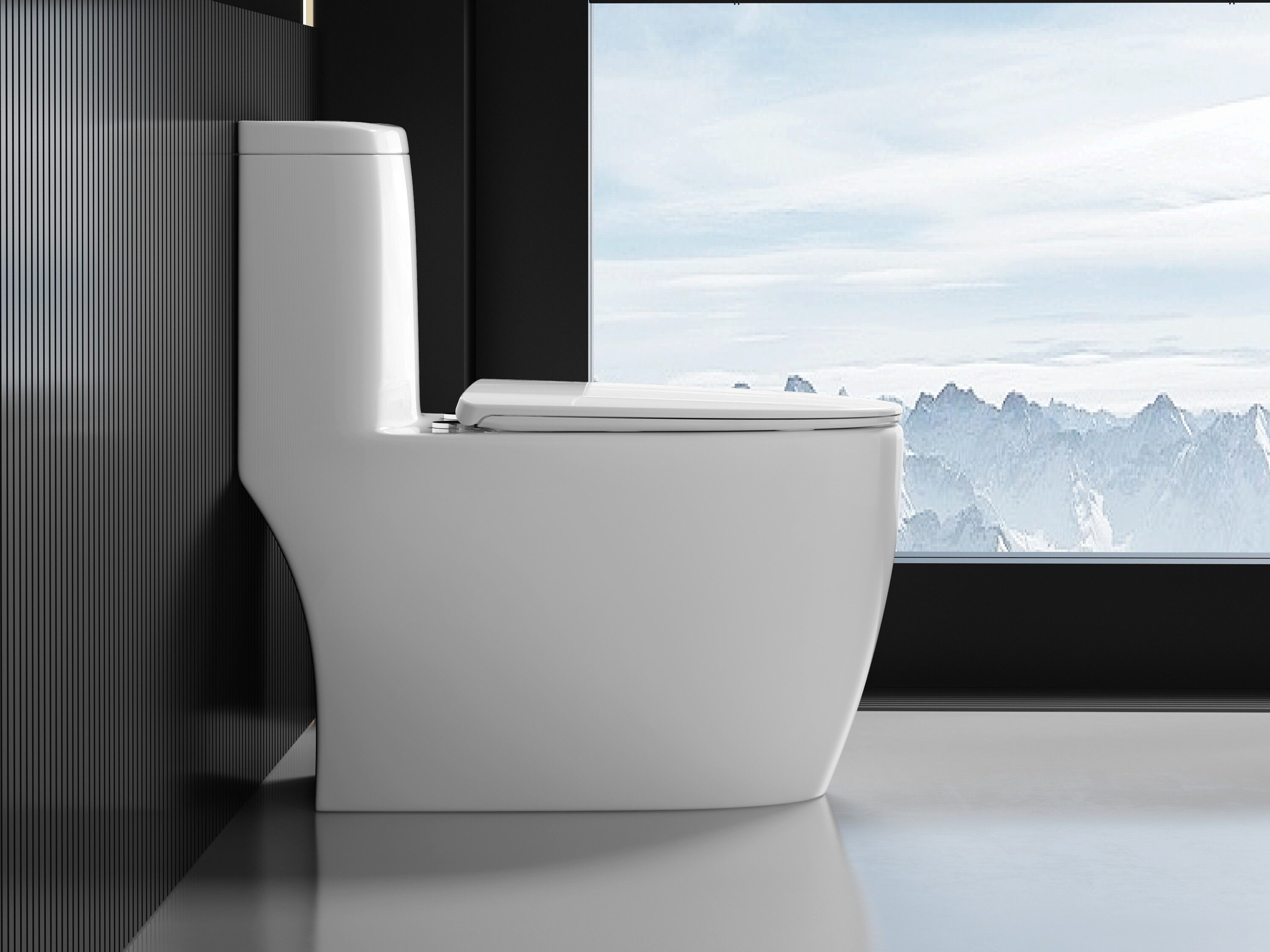 White One-Piece Toilet view 3