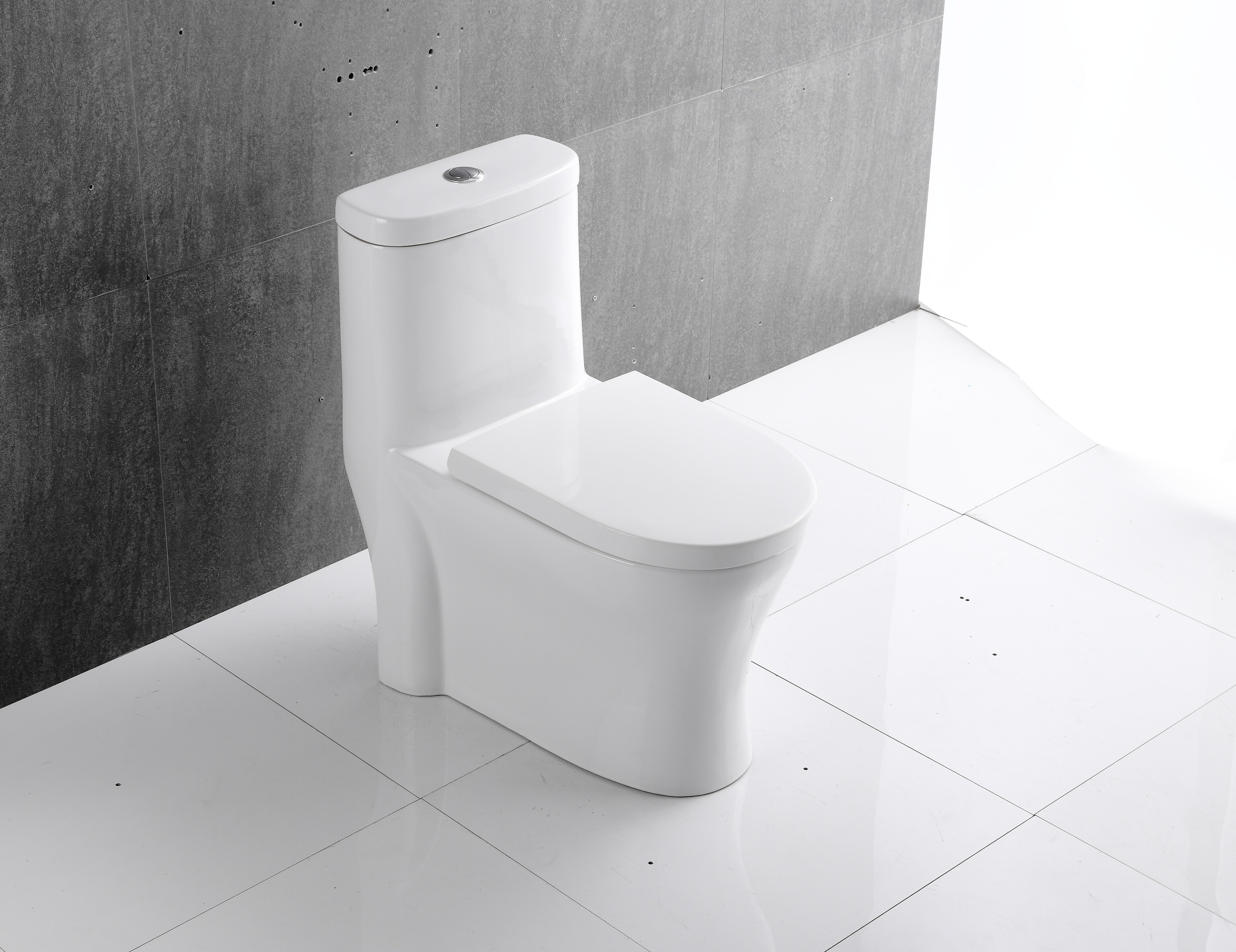 Black One-Piece Toilet
