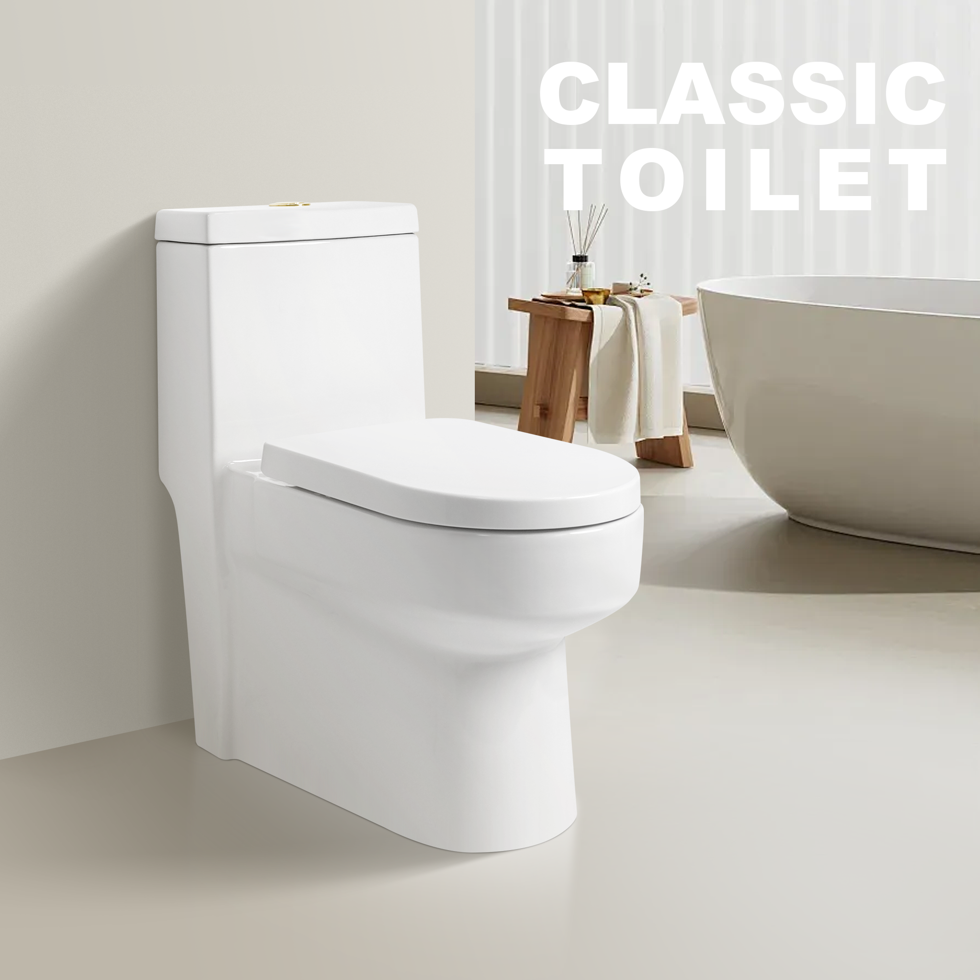 Modern One-Piece Toilet view 2