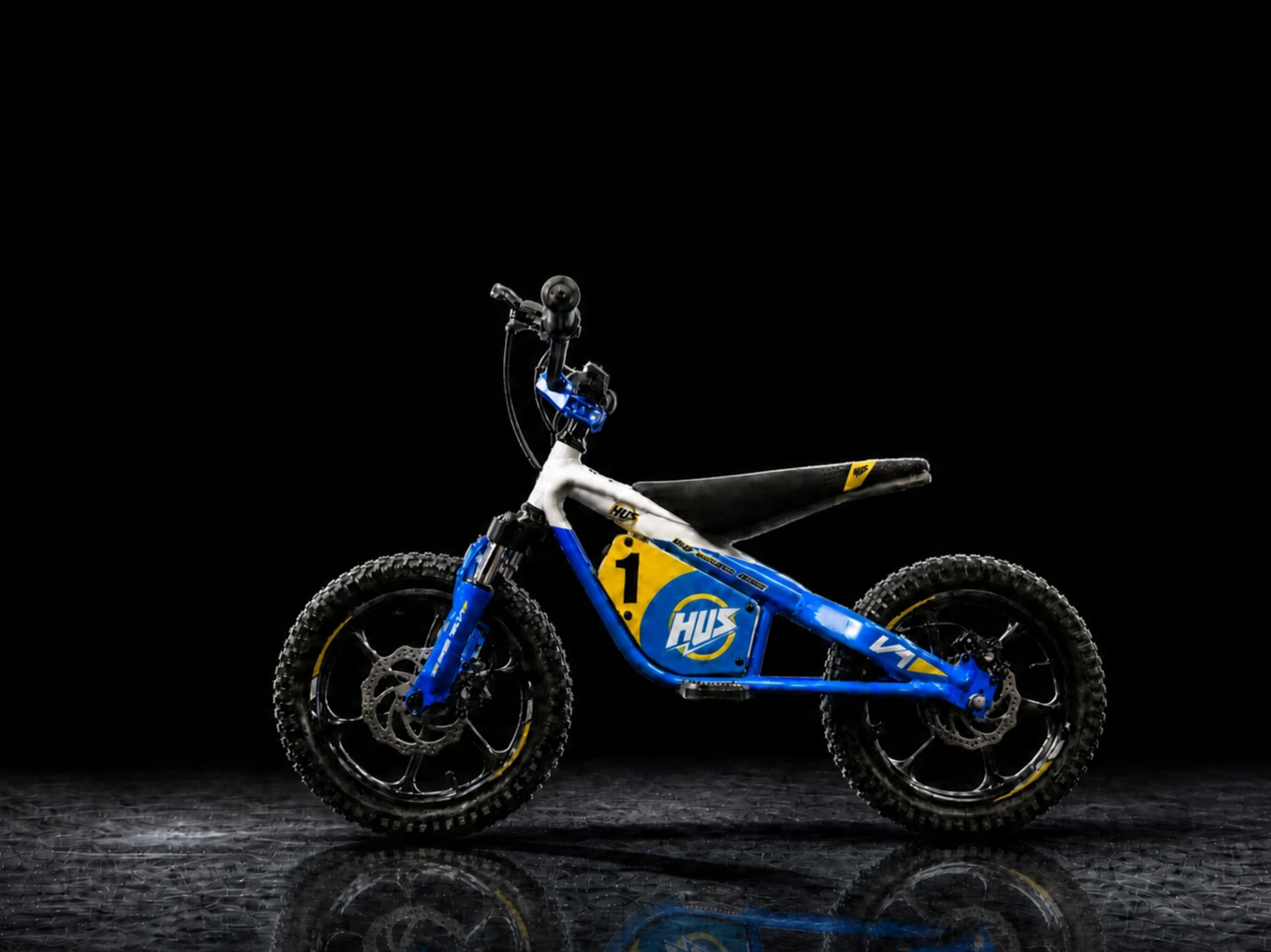 V1 Pro