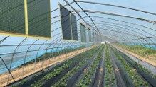 Smart Heating Panel for Agricultural Greenhouses