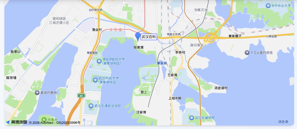 公司位置地图 - 高德地图显示湖北三宁集团总部位置