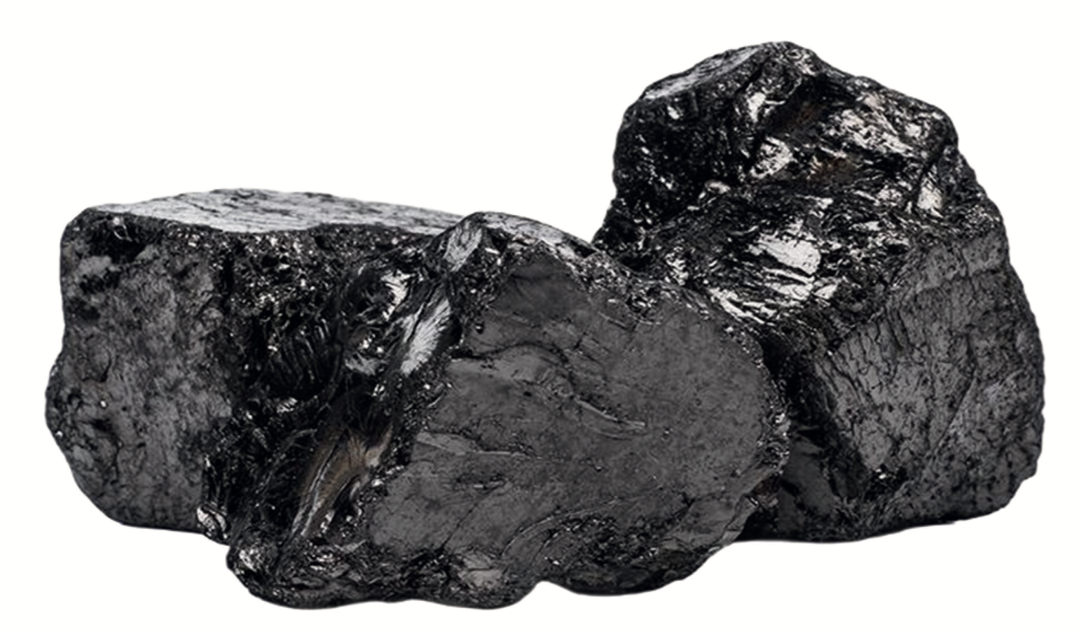 Coal