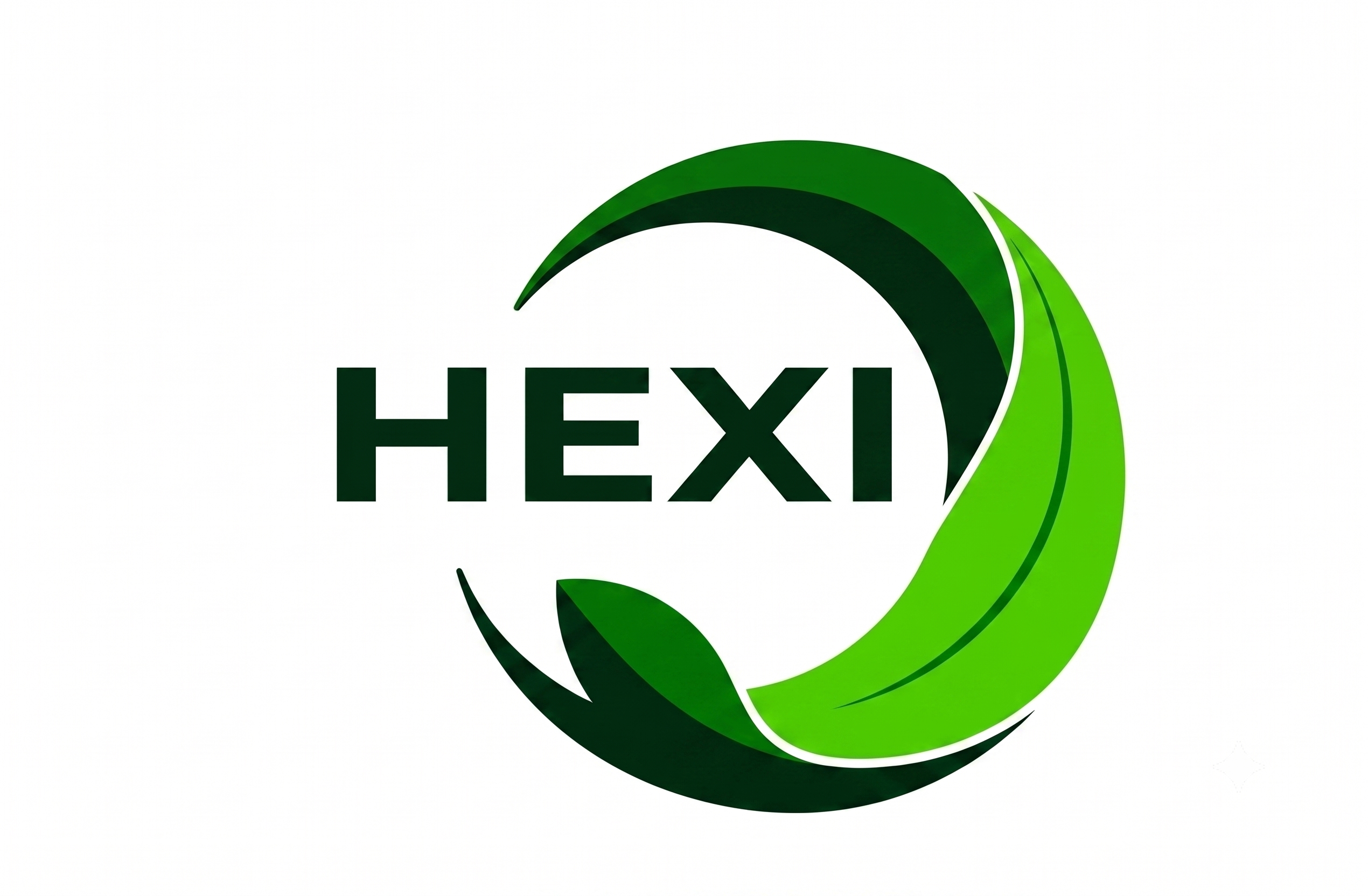 Hexi New Materials
