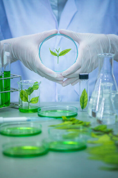 Agrochemical additives